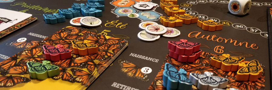 Photo du jeu Mariposas